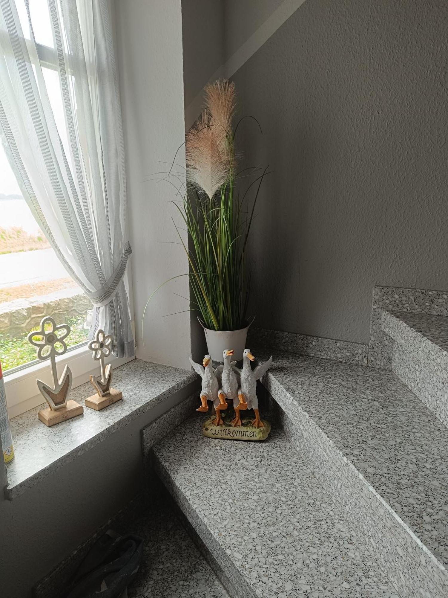 Marschblick Apartamento Sudermarsch Exterior foto